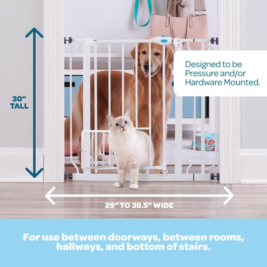 Metal Dog Gate with Walk-Through and Additional Small Door, 31" Tall, White