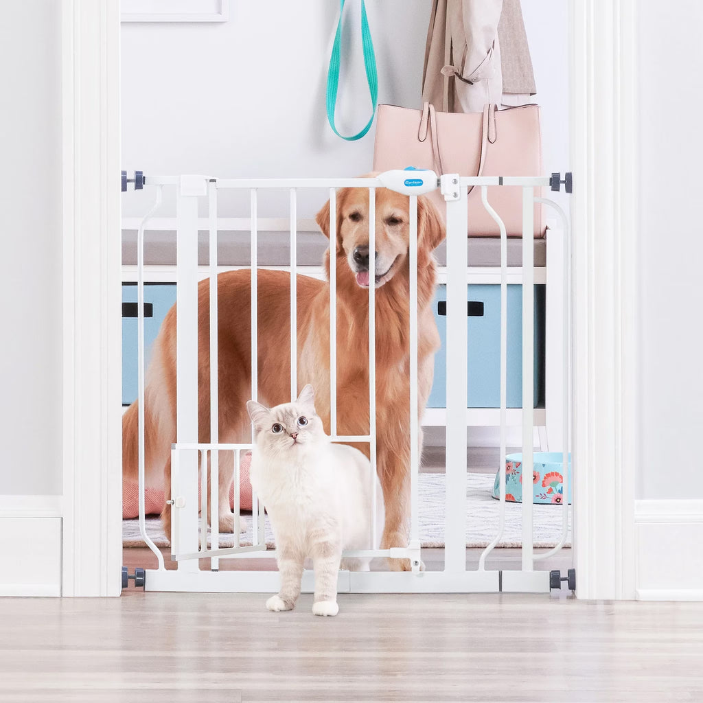 Metal Dog Gate with Walk-Through and Additional Small Door, 31" Tall, White
