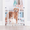 Metal Dog Gate with Walk-Through and Additional Small Door, 31" Tall, White