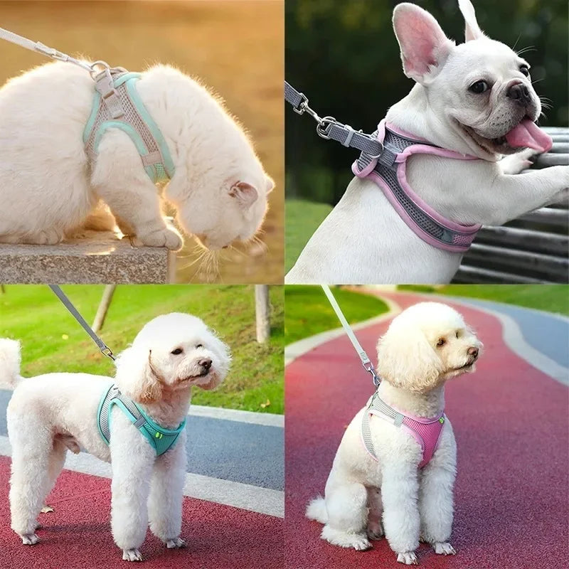 Cat Harness and Belt Set Breathable Accessories for Cats Pet Products Necklace Collar Pets Supplies Home Collars Things Cats