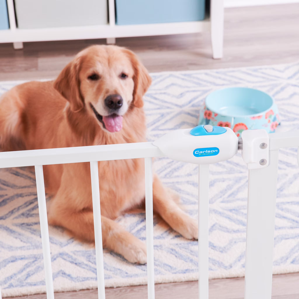 Metal Dog Gate with Walk-Through and Additional Small Door, 31" Tall, White