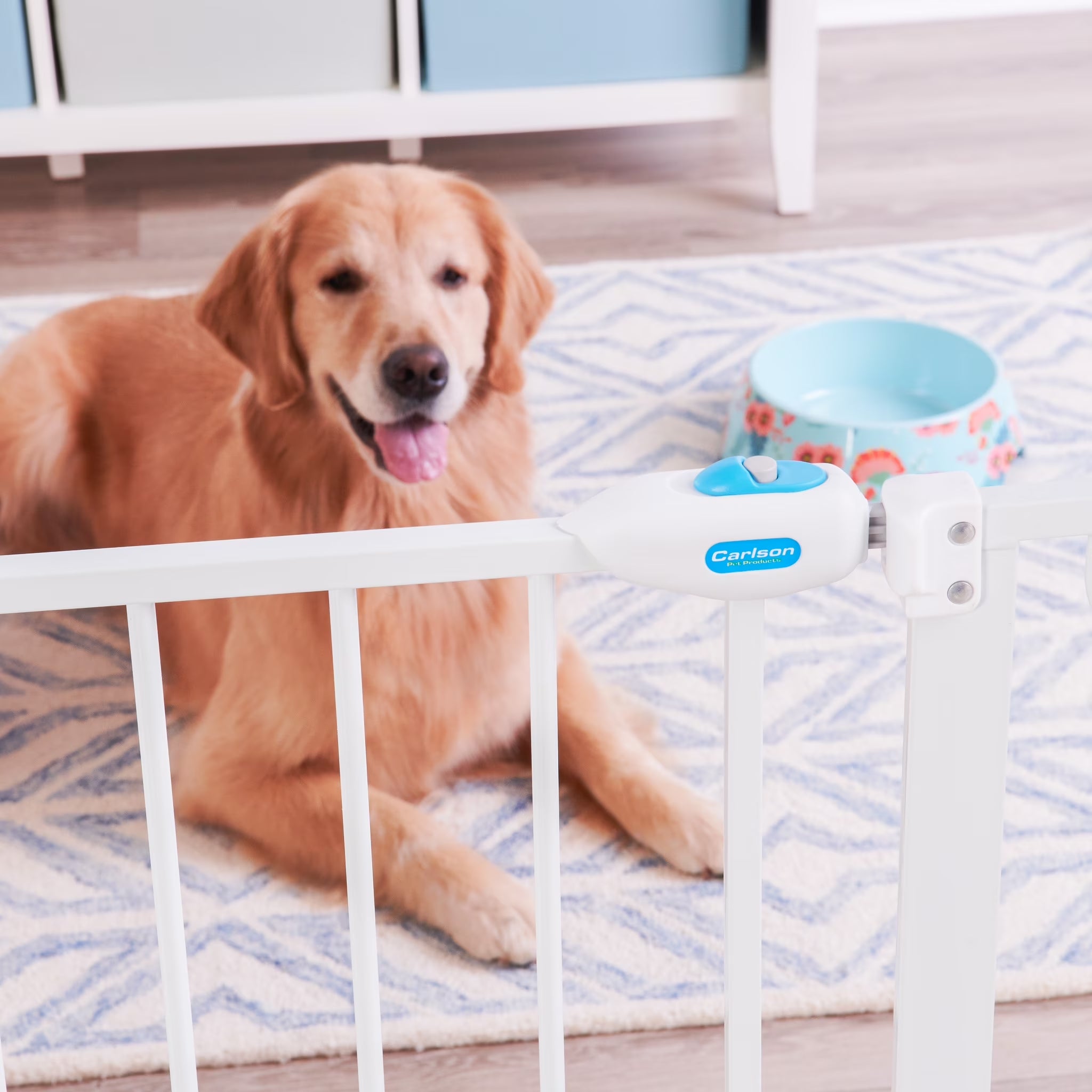Metal Dog Gate with Walk-Through and Additional Small Door, 31" Tall, White