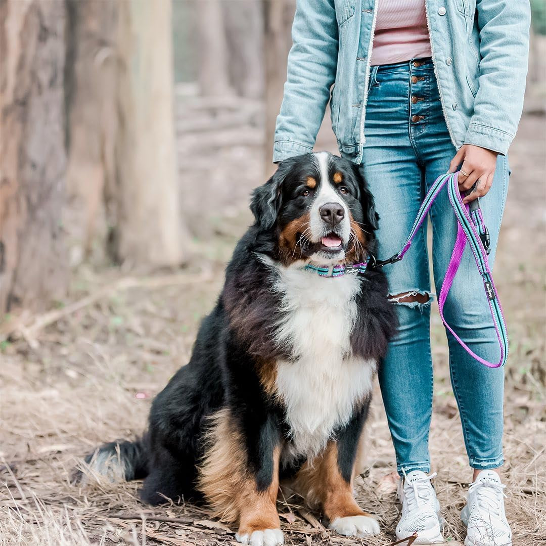3M Reflective Dog Leash with Soft & Comfortable Handle | Strong Nylon/Multi-Colored Stripe - Pink, Emerald and Orchid