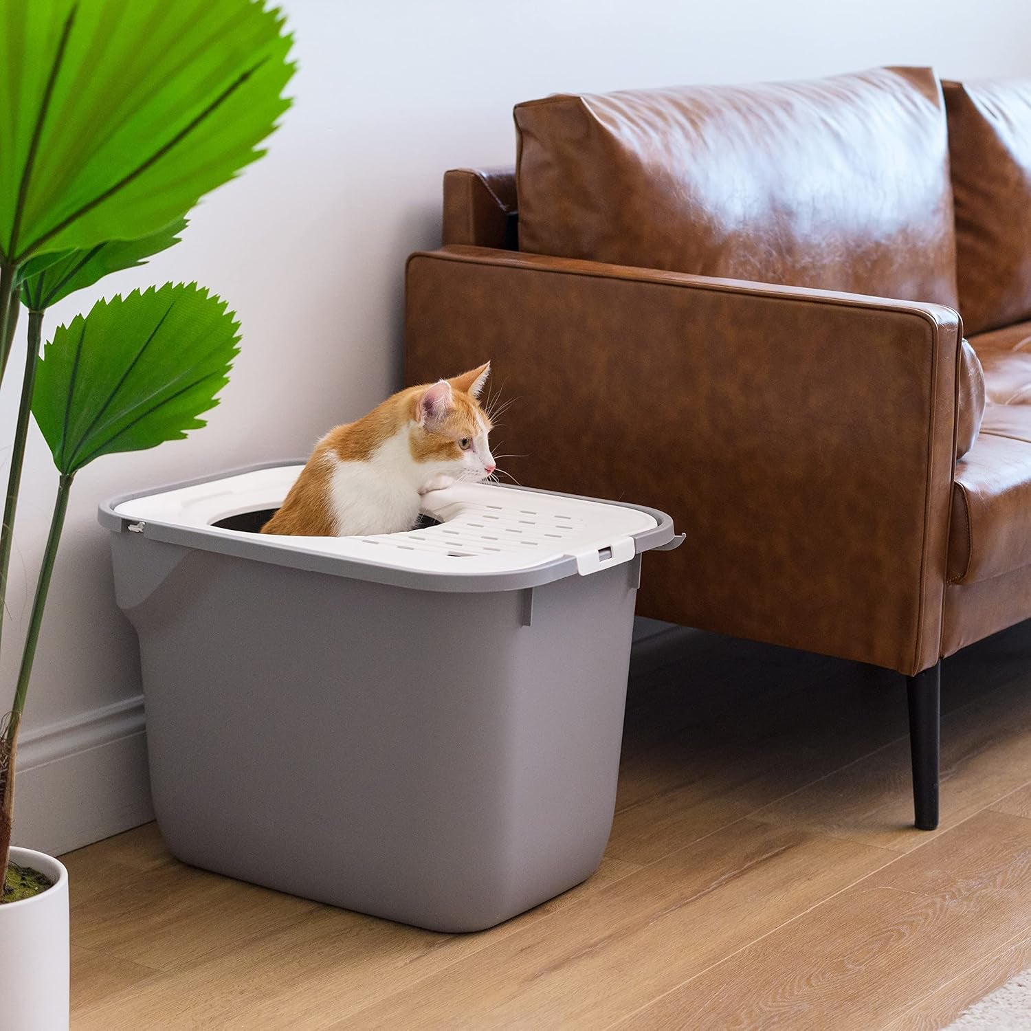 Cat Litter Box Large Top Entry with Lid, Enclosed Litter Box with Litter Catching Lid & Scoop, Covered Cat Litter Box Enclosure for Privacy, High Sided, Gray/White