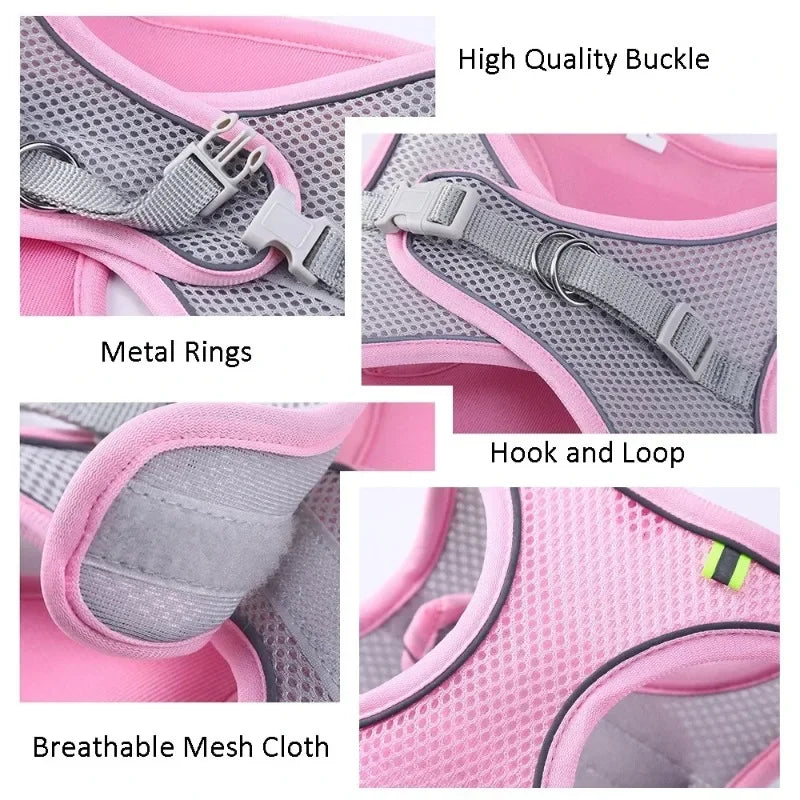 Cat Harness and Belt Set Breathable Accessories for Cats Pet Products Necklace Collar Pets Supplies Home Collars Things Cats