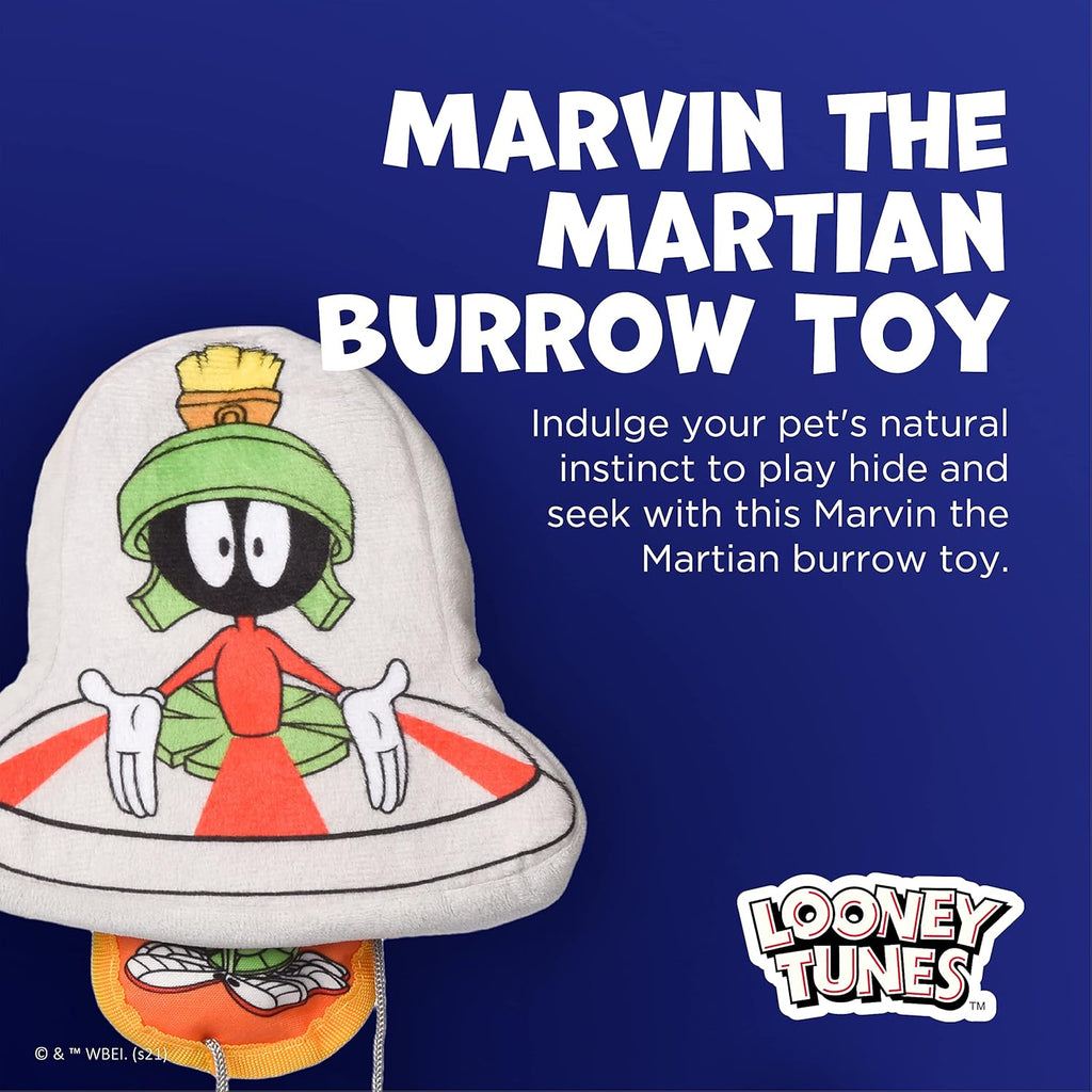 Warner Bros  Marvin the Martian Burrow Dog Toy