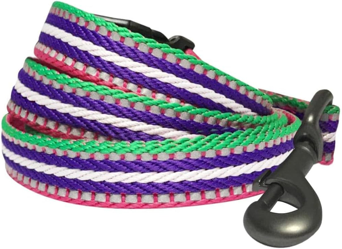 3M Reflective Dog Leash with Soft & Comfortable Handle | Strong Nylon/Multi-Colored Stripe - Pink, Emerald and Orchid