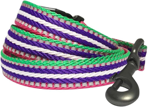 3M Reflective Dog Leash with Soft & Comfortable Handle | Strong Nylon/Multi-Colored Stripe - Pink, Emerald and Orchid
